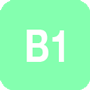 Niveau B1